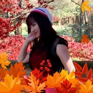 Meet your Posher, Loan phuong